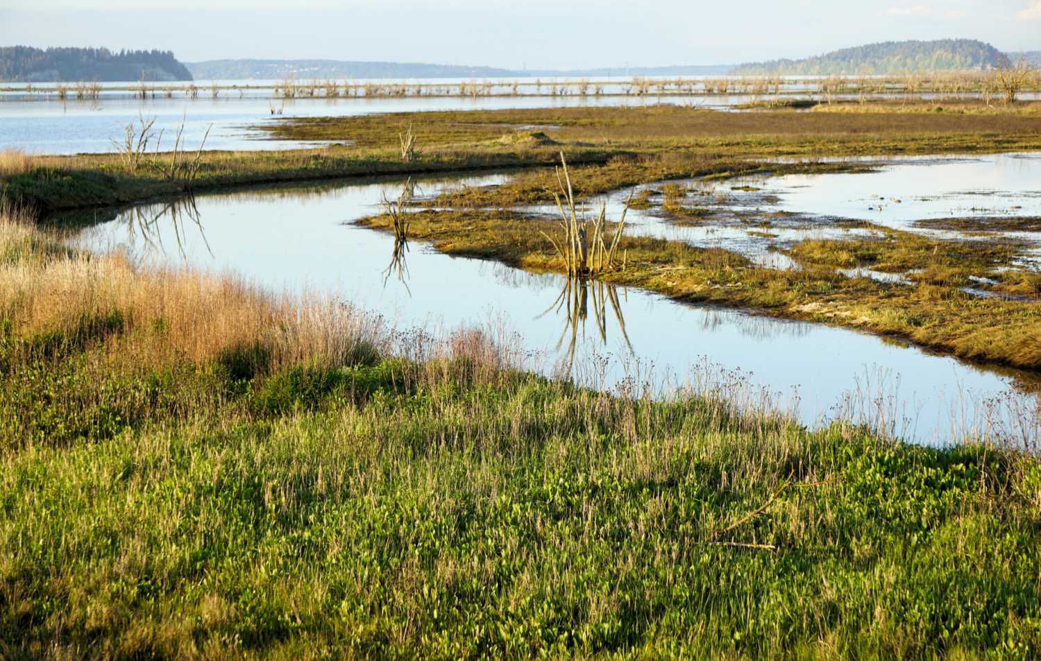 Sunset at Billy Frank Jr. Nisqually National Wildlife Refuge