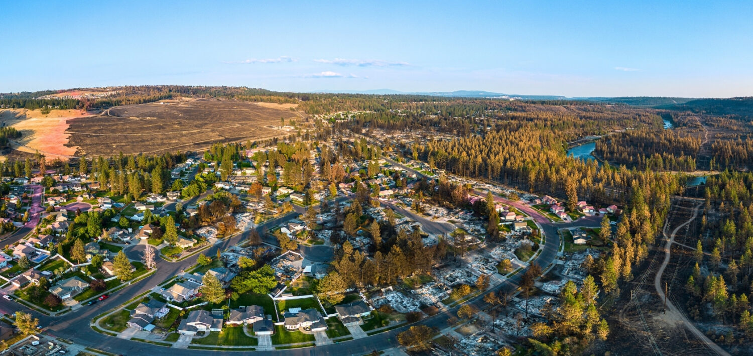 Aftermath of the Old Trails Fire, one of the three devastating August Spokane wildfires